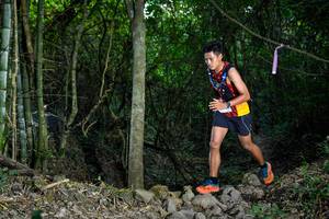 BIB: 
                            <button type="button" onclick="openModal(19437915)" class="btn btn-primary btn-sm float-right btn-popup" data-toggle="modal" data-target=".modal-high-quality">
                        <i class="fas fa-shopping-cart"></i> Add to Cart
                    </button>
                                            <button type="button" onclick="isThisMe(19437915, true)" class="btn btn-success btn-sm float-right btn-popup btn-isme hidden" data-toggle="tooltip" data-placement="bottom" title="นี่คือรูปของคุณใช่ไหม คลิกที่นี่เพื่อเอาเข้าอัลบั้ม">
                        <i class="fas fa-plus"></i> Add to album
                    </button>
                    <button type="button" onclick="isThisMe(19437915, false)" class="btn btn-warning btn-sm float-right btn-popup btn-isnotme hidden">
                        <i class="fas fa-ban"></i> Remove from album
                    </button>